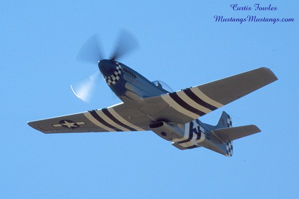 44-74506_03894_cf1.jpg