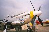 P-51