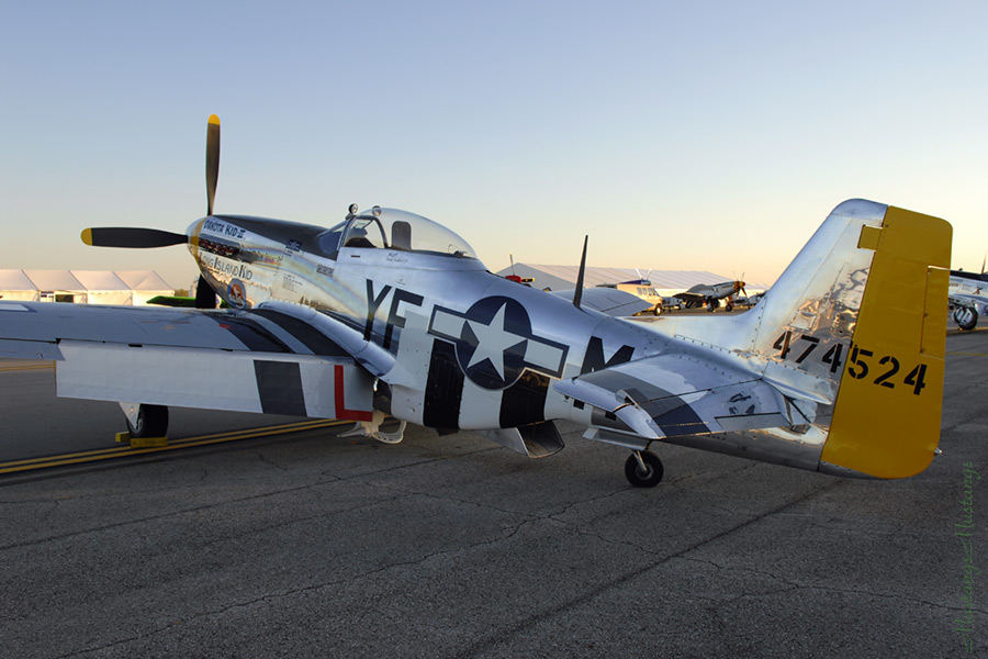 44-74524_03958_cf1.jpg