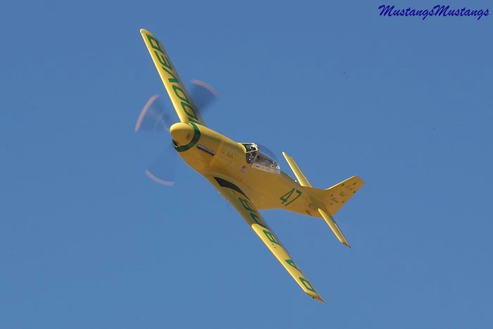 44-74739_04136_cf1.jpg