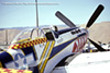 P-51