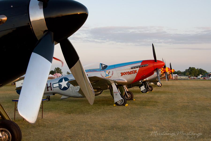 44-74832_04234_cf1.jpg