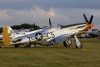 P-51