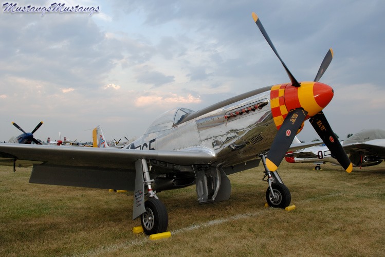 44-74865_04254_cf1.jpg