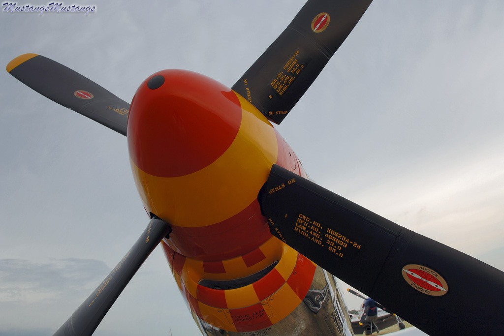44-74865_04257_cf1.jpg