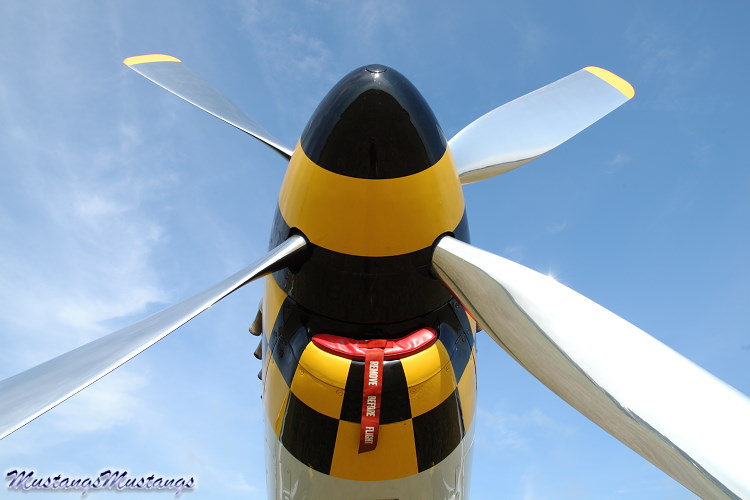 44-74878_04282_cf1.jpg