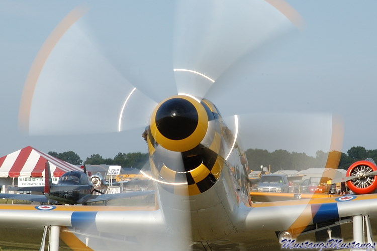 44-74878_04288_cf1.jpg