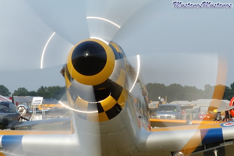 44-74878_04289_cf1.jpg