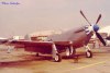 P-51