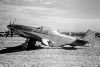 P-51