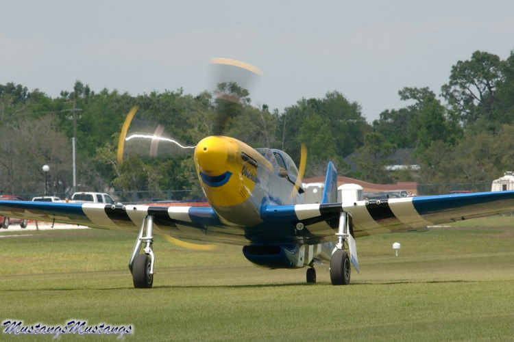 44-74976_04368_cf1.jpg