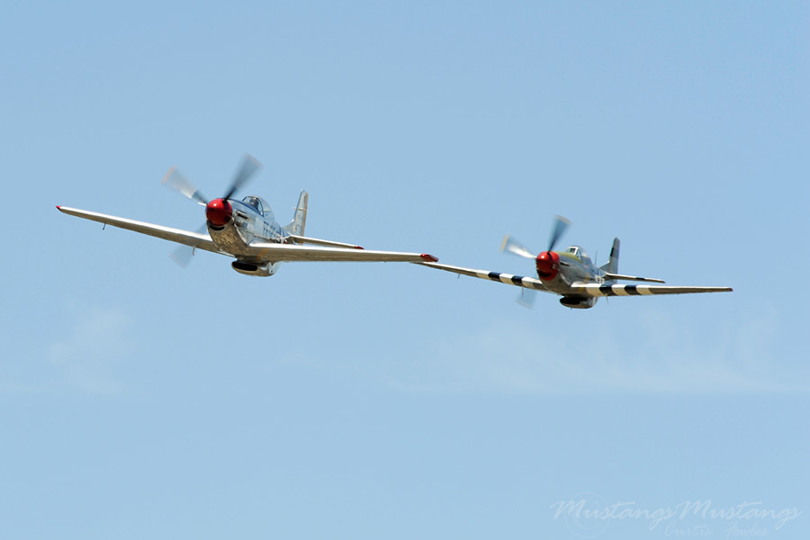 44-84933_04888_cf1.jpg