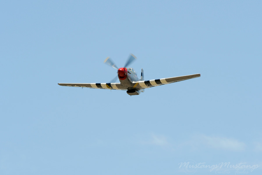 44-84933_04889_cf1.jpg