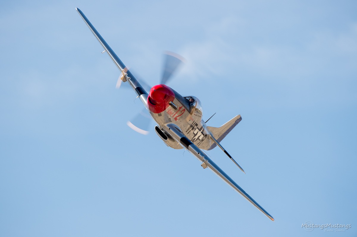 44-84933_9613_cf1.jpg