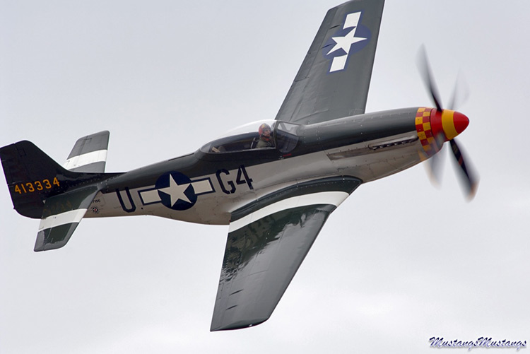 44-84961_04932_cf1.jpg