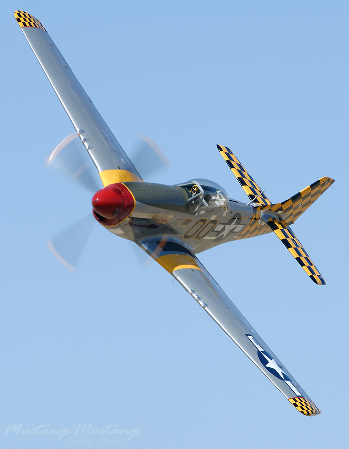45-11391_04963_cf1.jpg