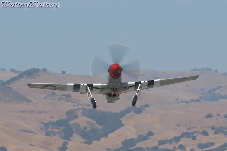 45-11582_05427_cf1.jpg