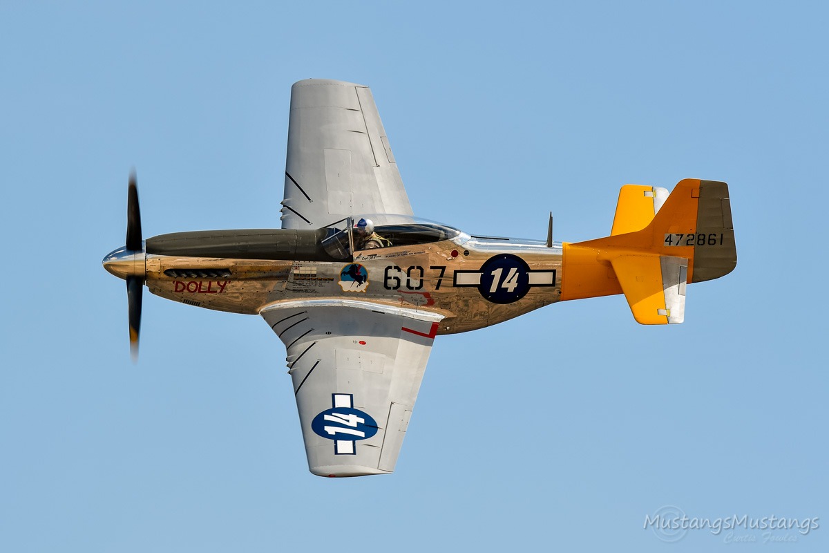 45-11582_9550_cf1.jpg