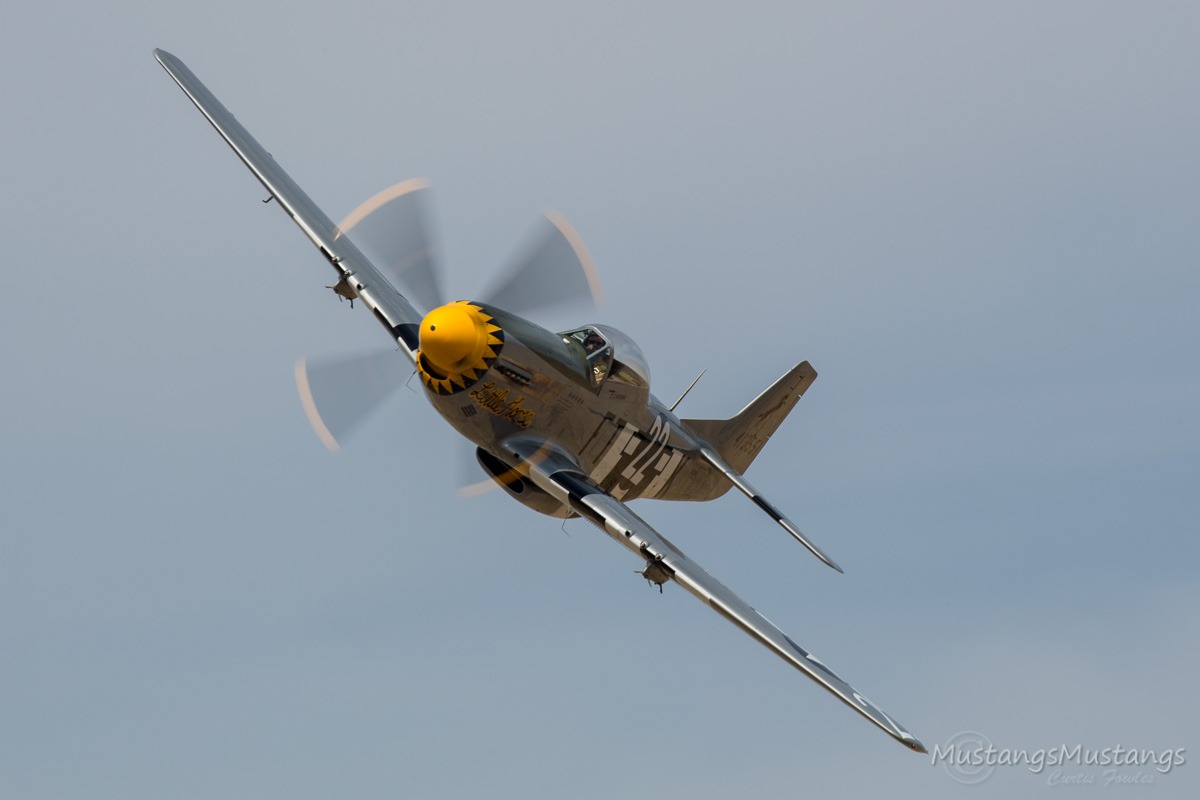 45-11586_9545_cf1.jpg