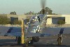 P-51