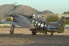 P-51