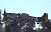 P-51
