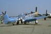 P-51