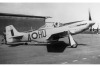 P-51