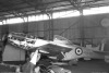 P-51