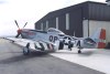 P-51D-25NA_1t.jpg