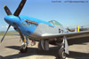 P-51D-25NA_8t.jpg