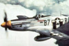 P-51D-5NA_7t.jpg