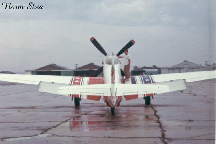 P-51 Who 391